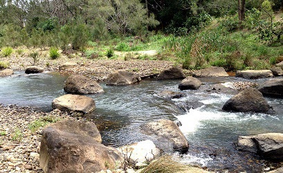 Construct rocks strategically in streams to dissipate water energy and reduce flooding