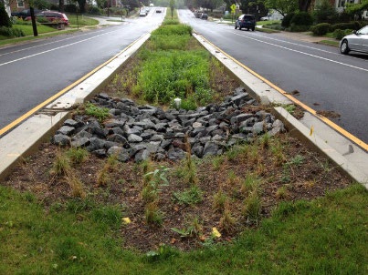 Install medians to strategically hold and/or convey stormwater
