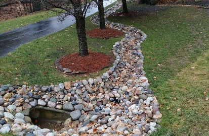 Install swales, ditches, and rain gardens