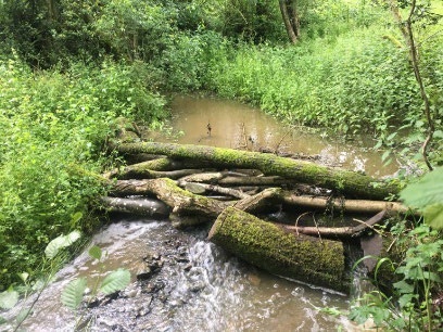 Place logs or branches in streams to reduce water flow