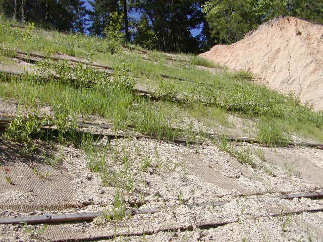 Stabilize slopes using bioengineering techniques